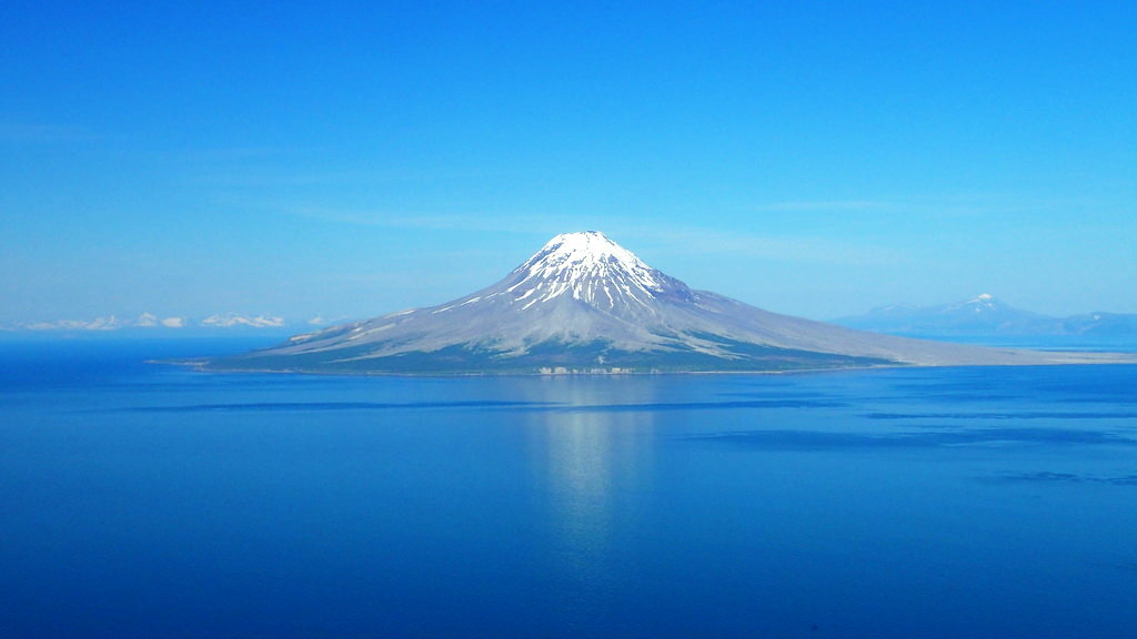 The Center for Wit and Sagacity